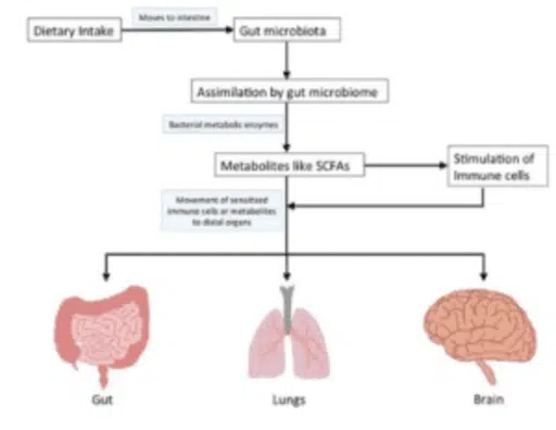 Massaging Foot Massaging Foot